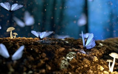 5 Tips untuk Mengelola Rasa Minder  dan Kebahagiaan Diri