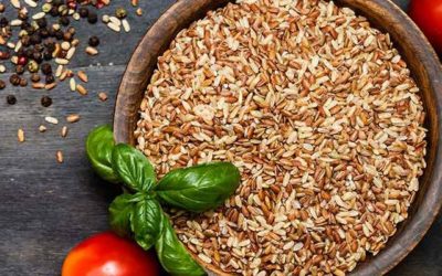 Ini Dia 4 Makanan Sehat agar Diet Cepat dan Alami