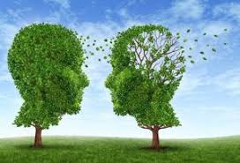 Tips Mencegah Alzheimer dengan Mengonsumsi Teh Hijau
