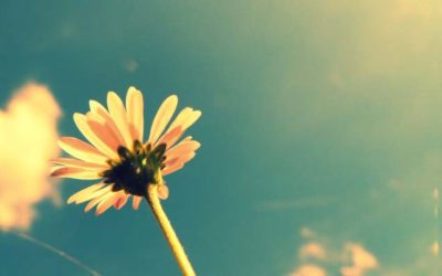 Lima Tips Jadi Istri Teladan dari Ummul Mukminin Khadijah